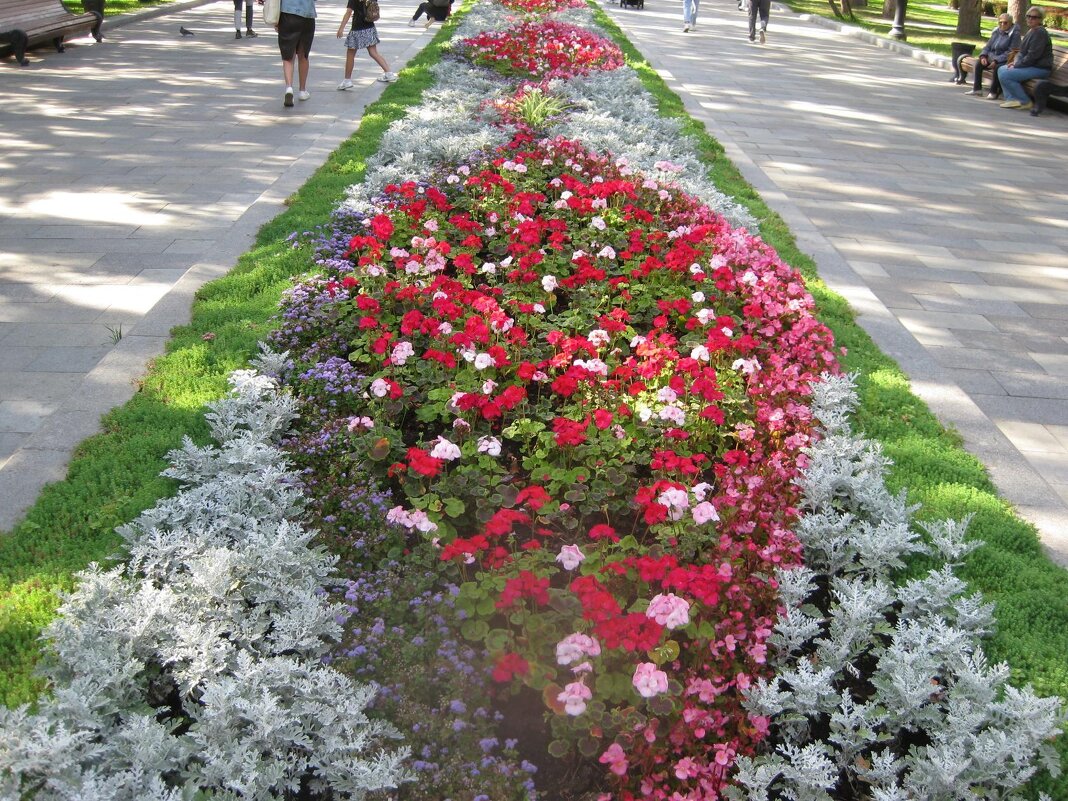 Цветник - Дмитрий Никитин