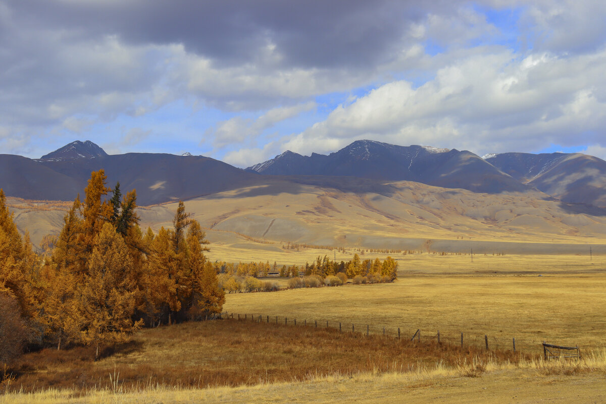 Рыжие курайские ландшафты - елена беликова Рыжие курайские ландшафты - елена беликова