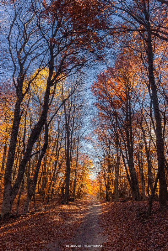 ОСЕНЬ ДЕМЕРДЖИ - Sergey Bagach