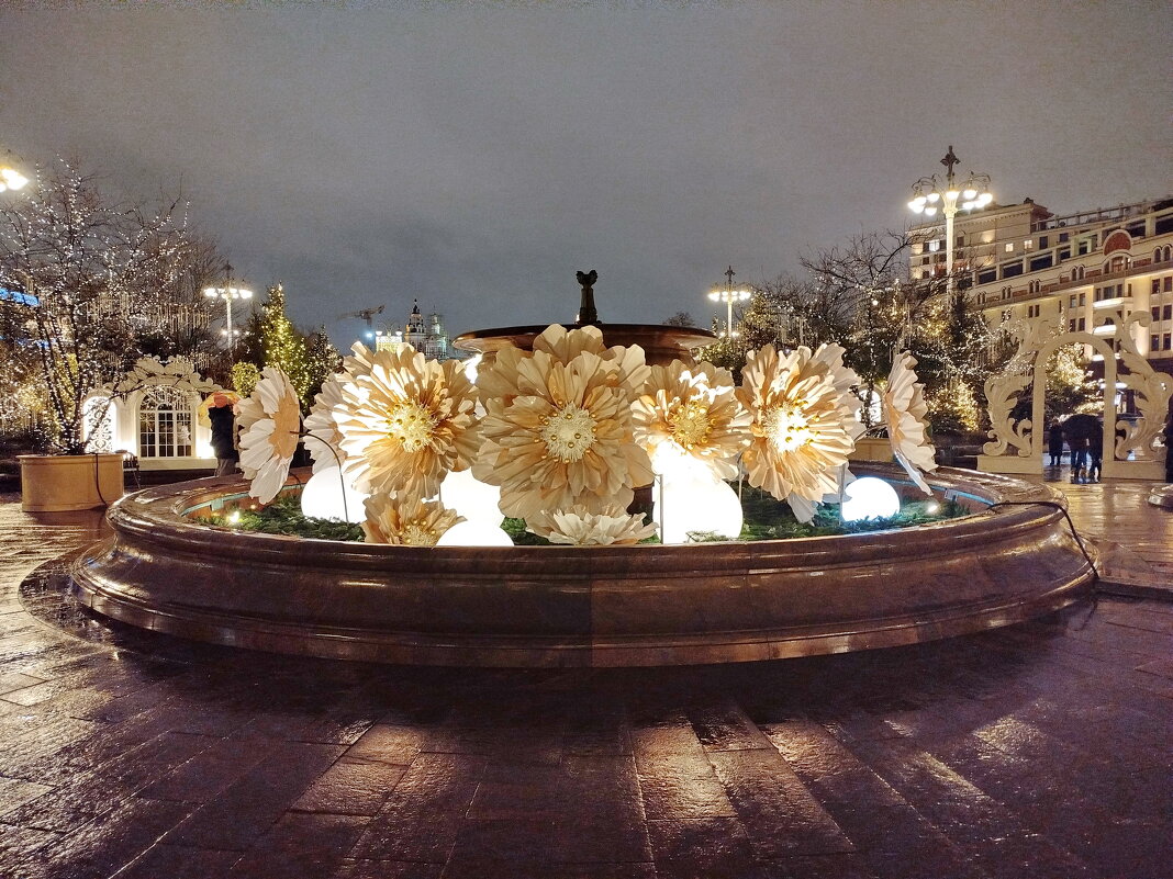 Неожиданное новогоднее украшение - Александр Чеботарь Неожиданное новогоднее украшение - Александр Чеботарь