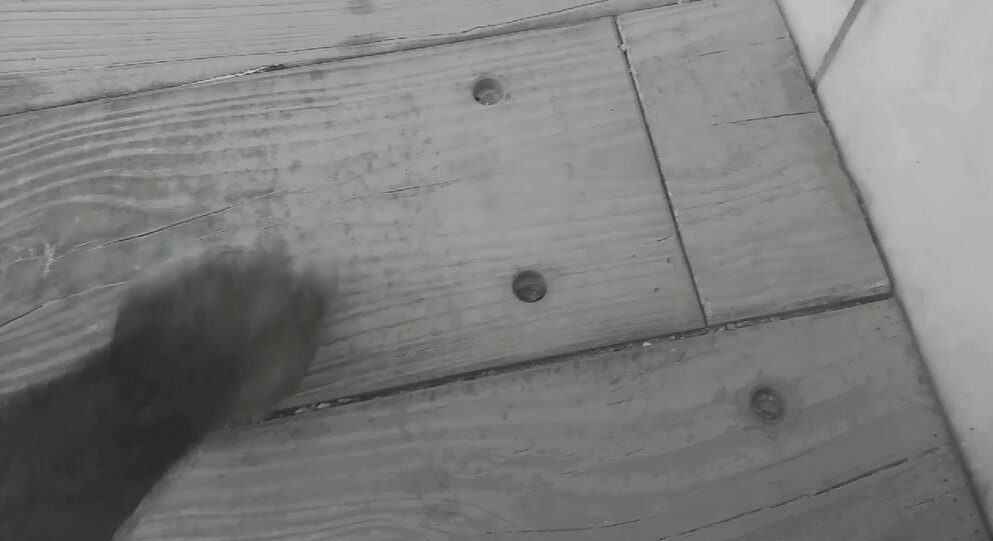 114 (207) - CLOSE WAYS ALL