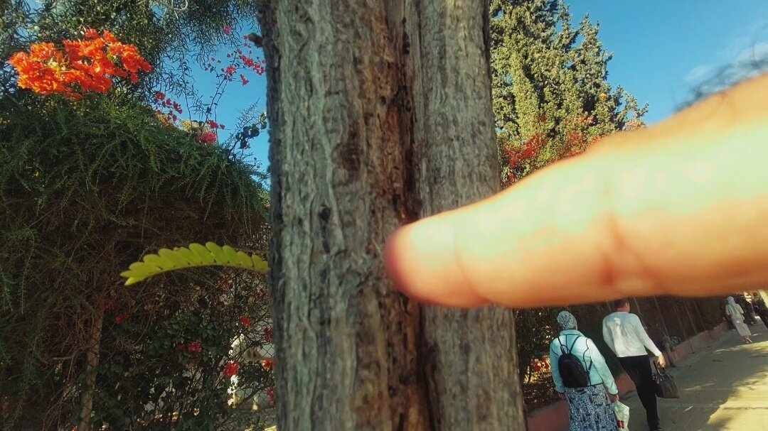 13  ОПЕН (740) - OPEN WAYS ALL