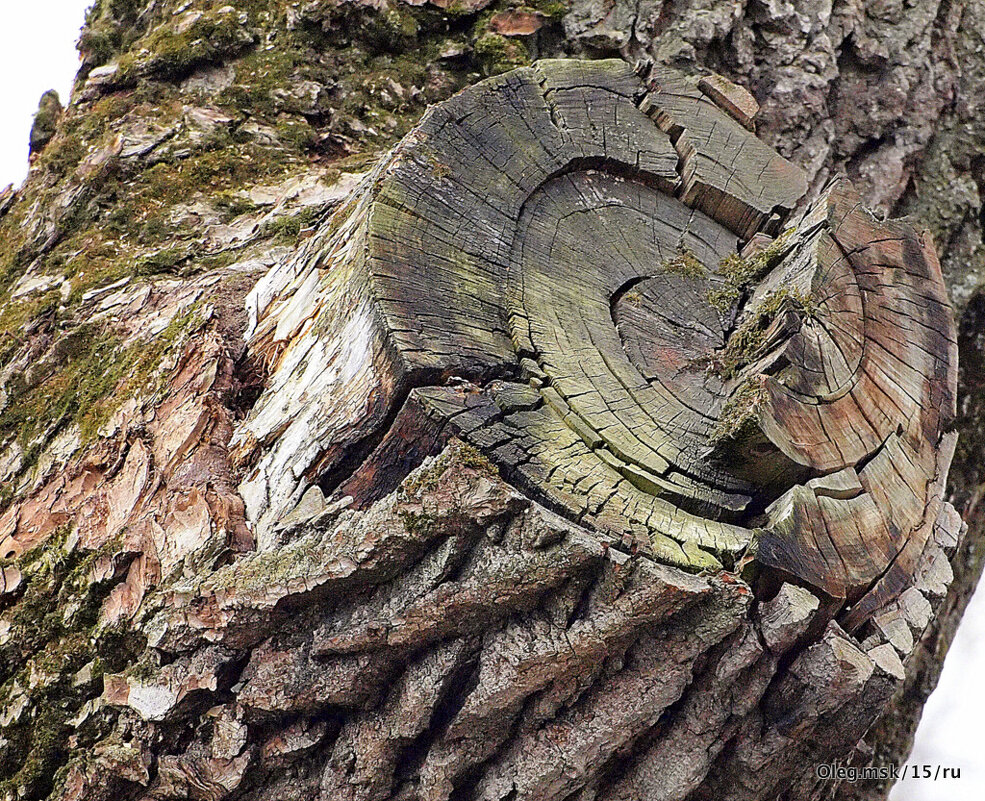 раны - Олег Лукьянов раны - Олег Лукьянов