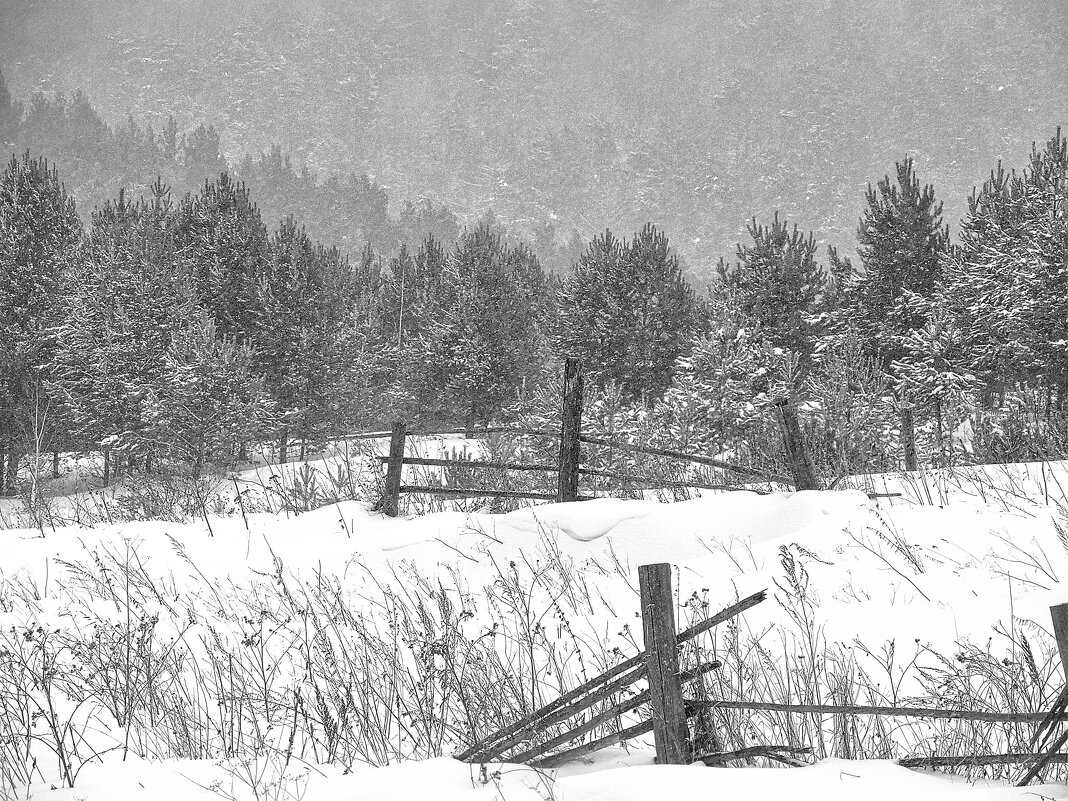 Окрестности села Красный завод - Владимир Кириченко Окрестности села Красный завод - Владимир Кириченко