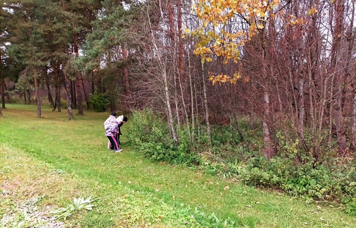 Следопыты ) - Veera V