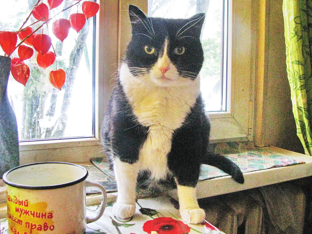 Хозяйка, я есть хочу - Людмила Смородинская