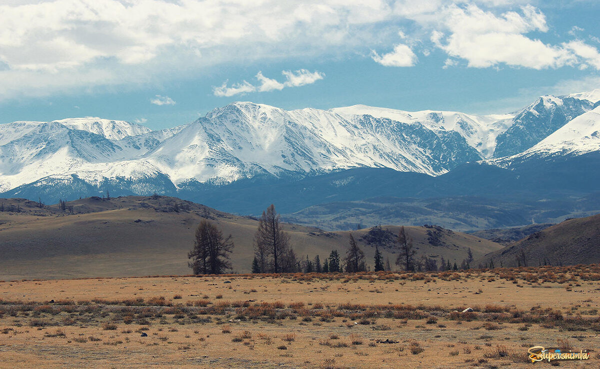 Весенние пейзажи горного Алтая - елена беликова