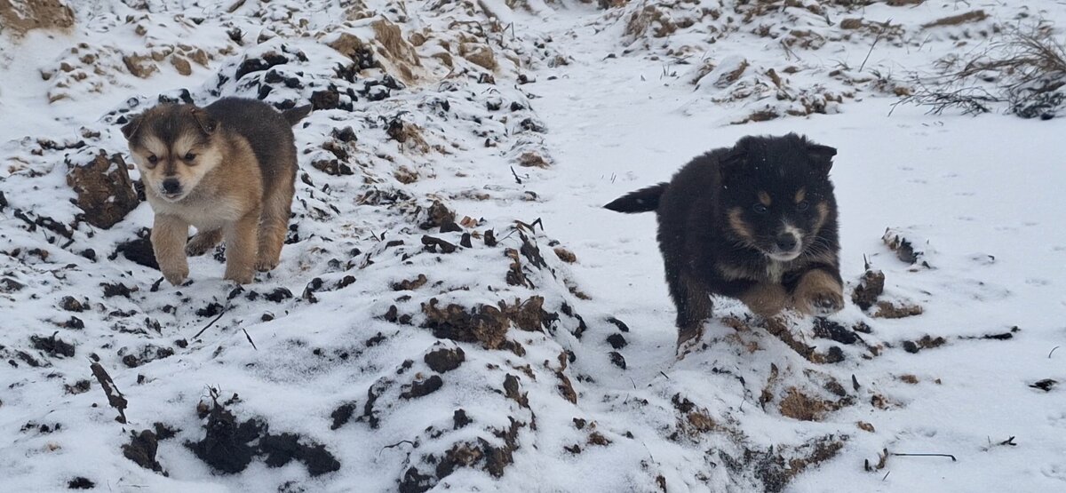 . - Сергей Асташонок