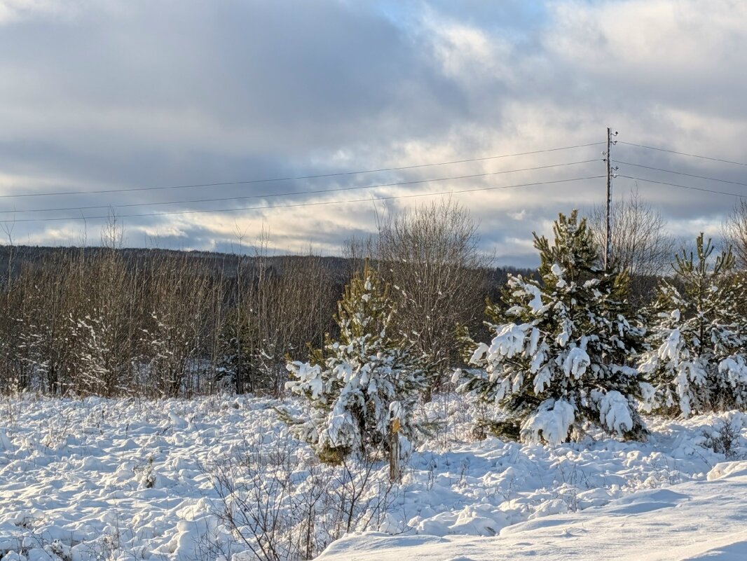Заснеженный ноябрь - Анастасия Логинова