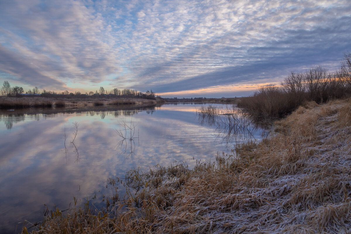 **** - Елизавета .