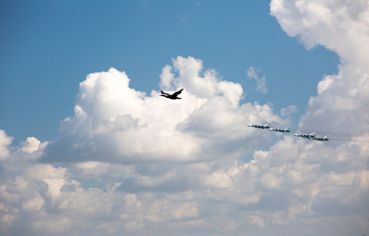 Ведущий! Летим за мной!) - Светлана Тихонина