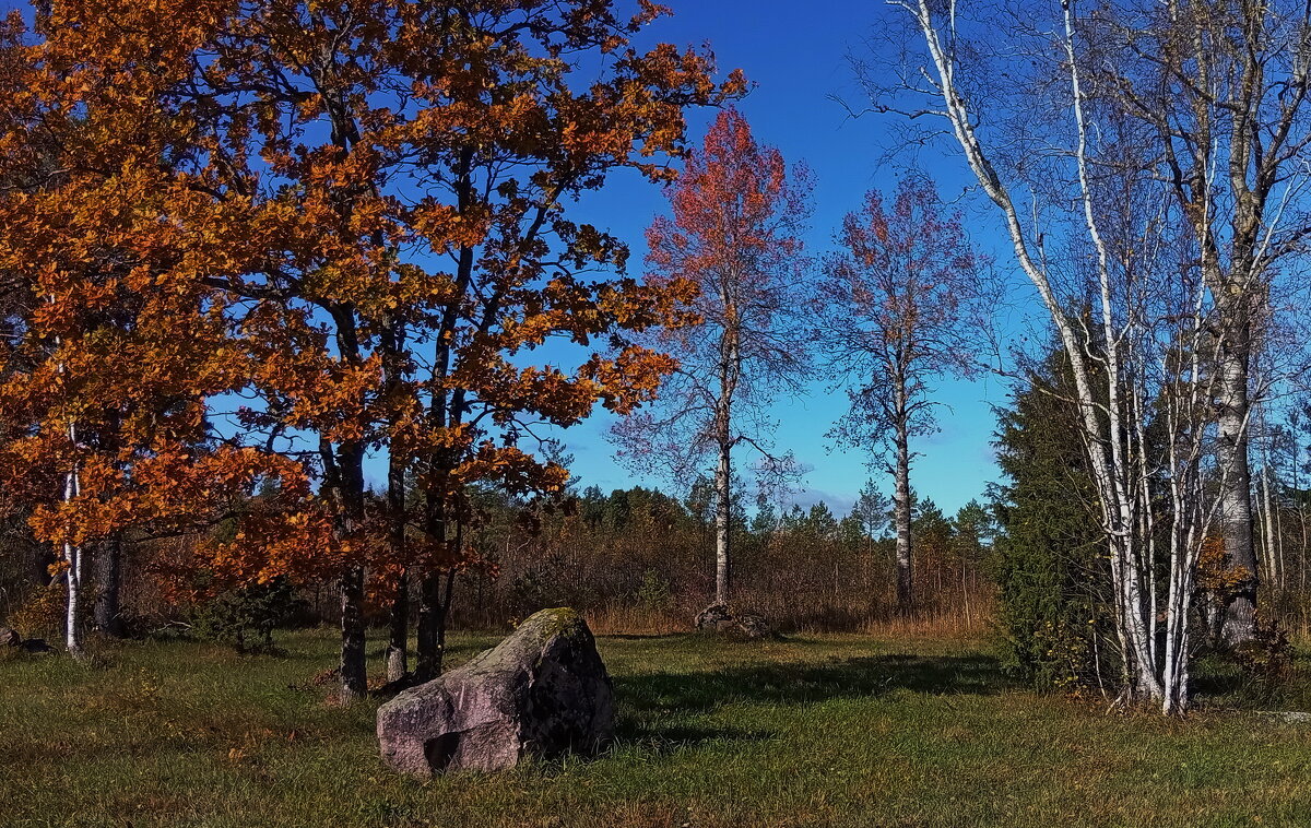 Оснние штрихи .. - Татьян@ Ивановна