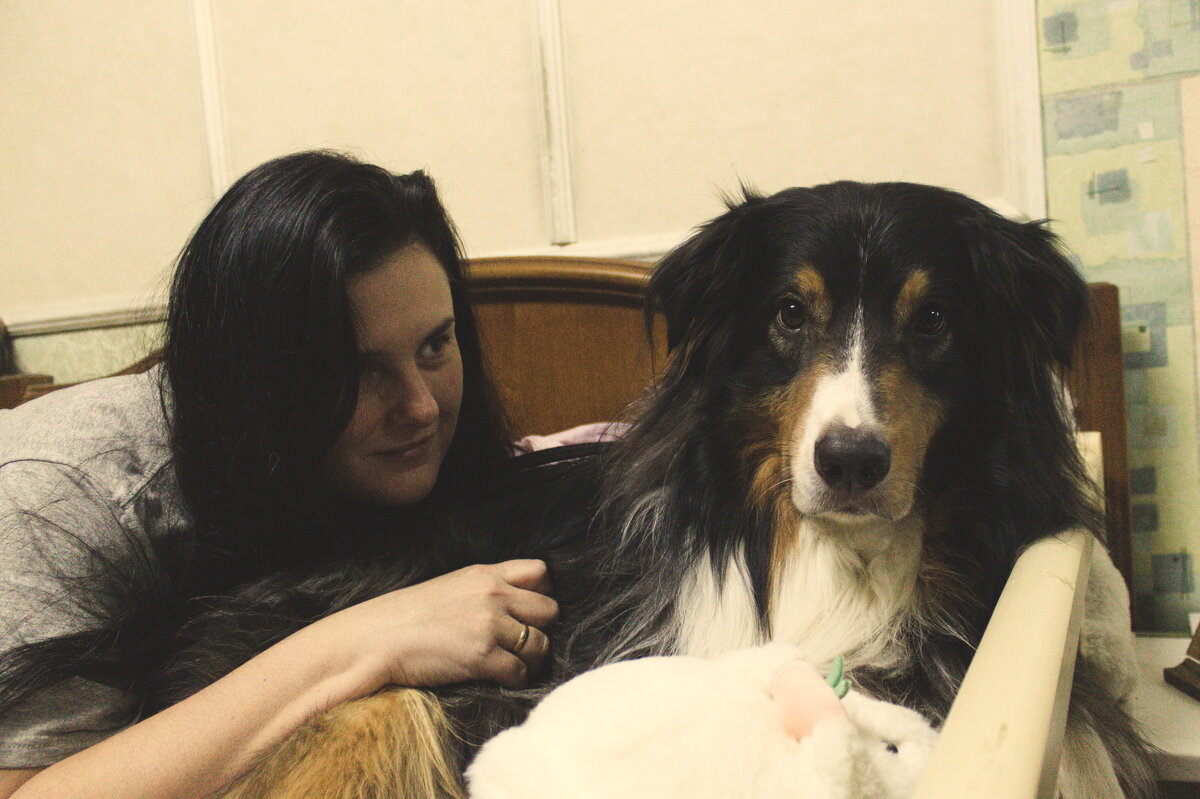 любимчик - Артём 