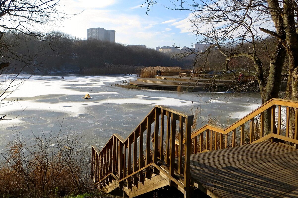 Тонкая корочка льда на пруду - Татьяна Смоляниченко Тонкая корочка льда на пруду - Татьяна Смоляниченко