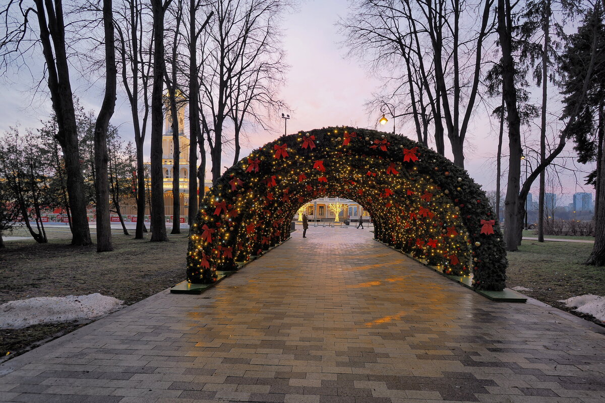 Парк Речного вокзала бесснежной зимой 2025 г. - Евгений Седов