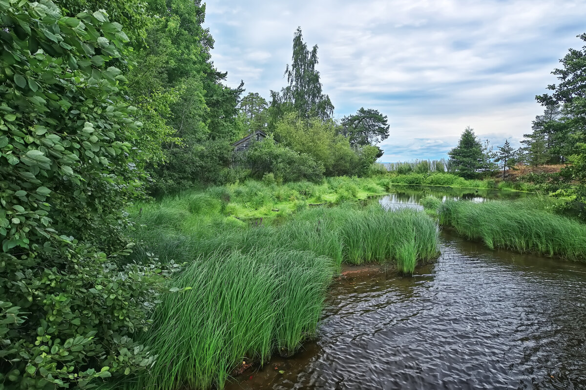 *** - Александр Беляев