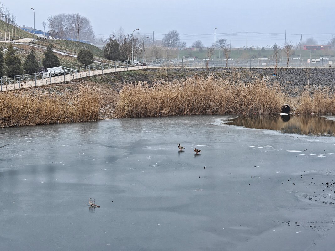 Ростовские зарисовки - Александр Гапоненко Ростовские зарисовки - Александр Гапоненко