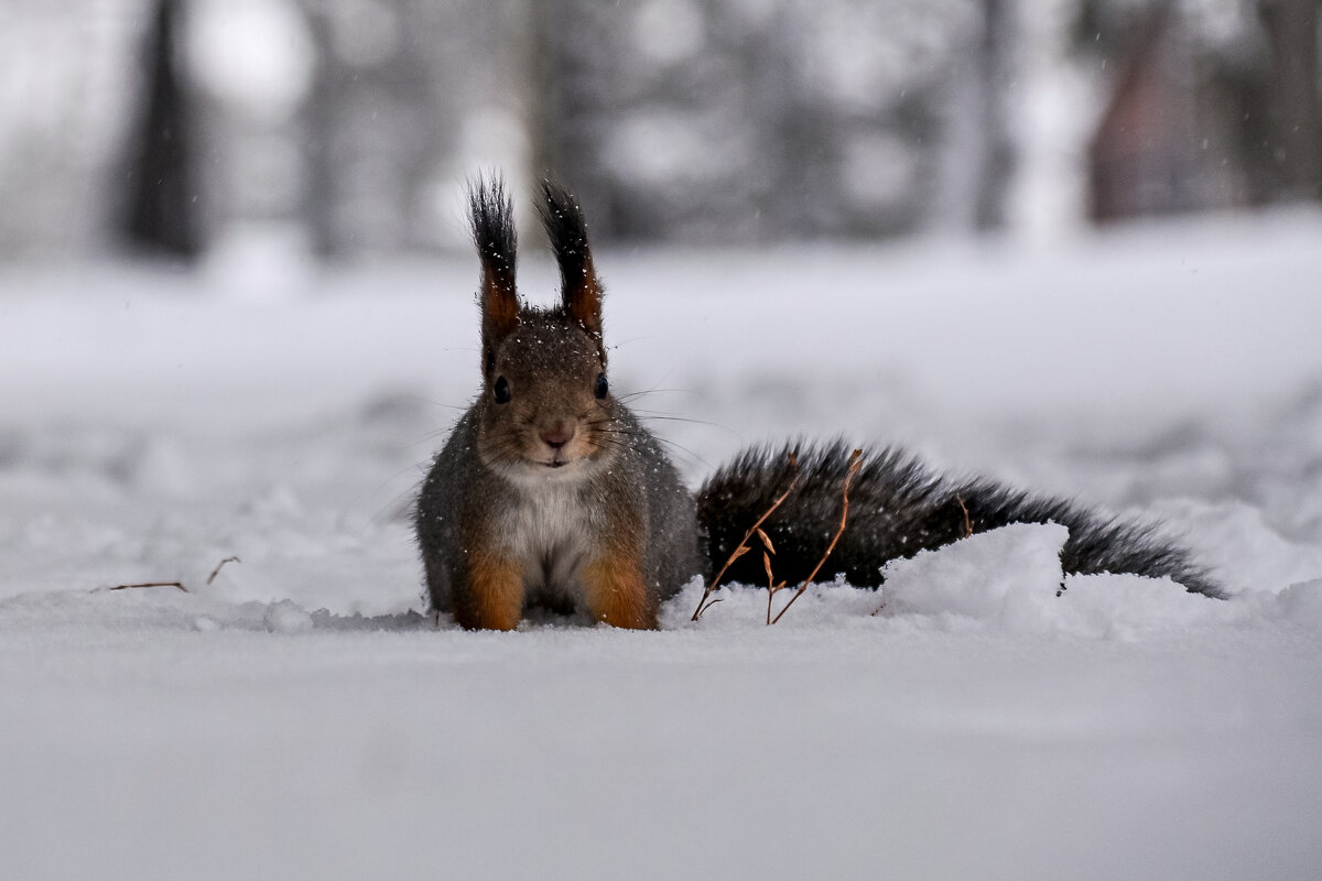 Ну фотай уже, я улыбаюсь! - Михаил Петрик Ну фотай уже, я улыбаюсь! - Михаил Петрик