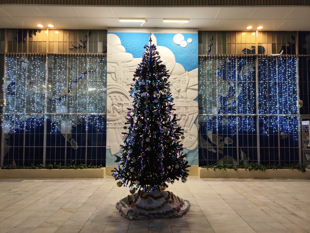 Свет ёлки новогодней - Дмитрий Никитин Свет ёлки новогодней - Дмитрий Никитин