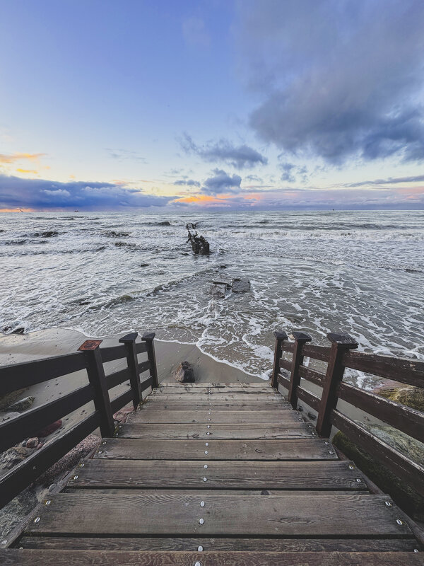 Зеленоградск - Николай Зеленоградск - Николай