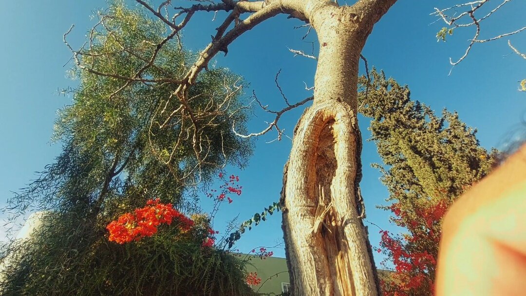 13  ОПЕН (741) - OPEN WAYS ALL