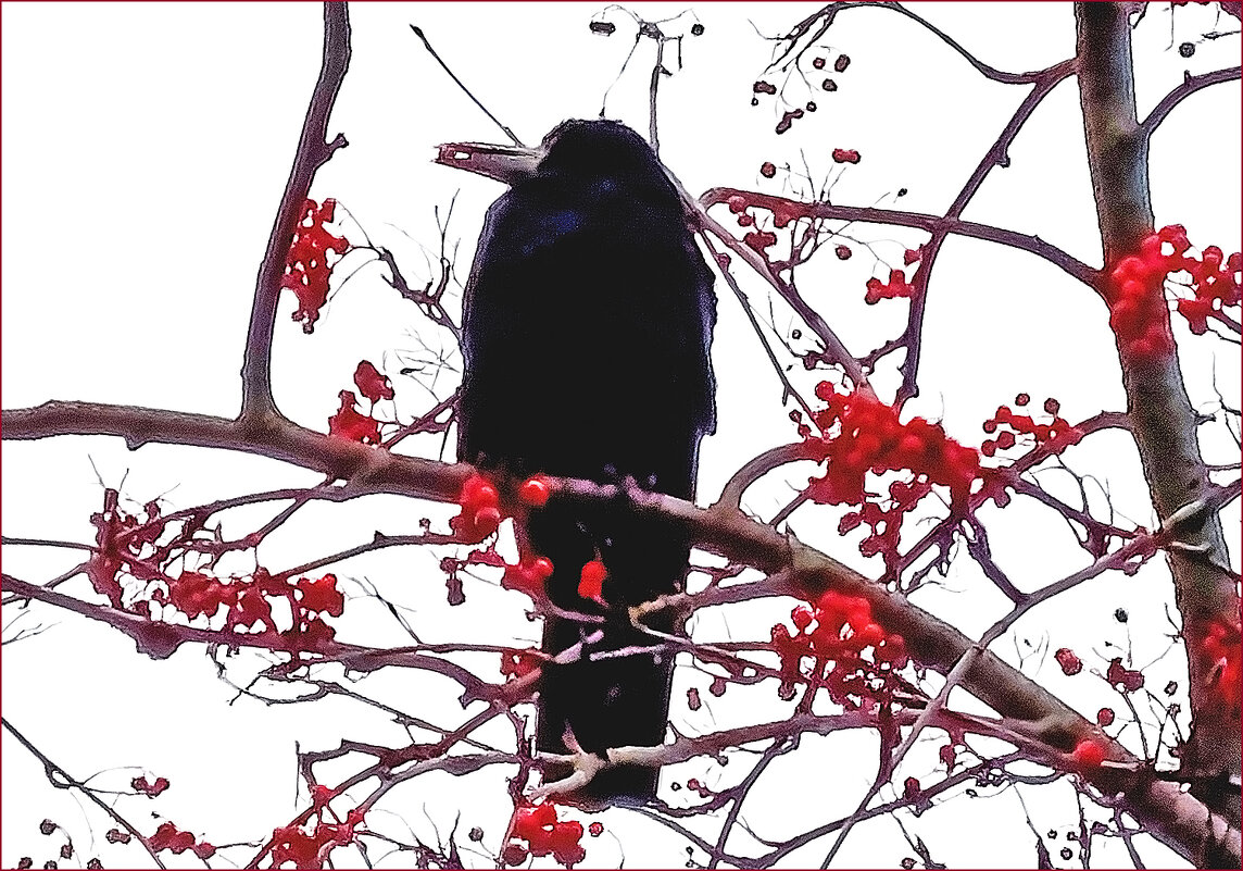 Вкусная ягода! - Валентина Нефёдова Вкусная ягода! - Валентина Нефёдова