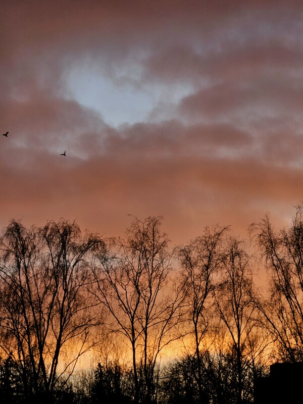 Оранжевое небо - Мария Яковлева Оранжевое небо - Мария Яковлева