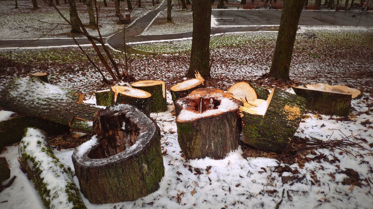 окончен век... - Любовь 