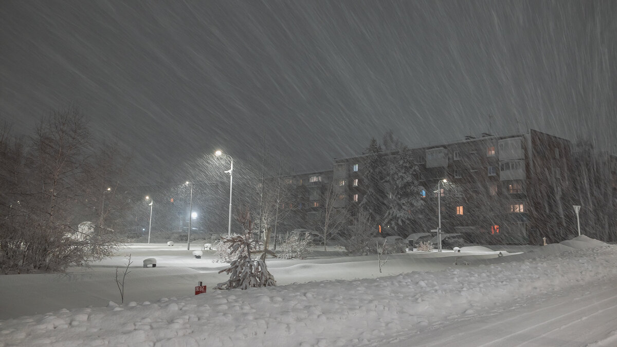 ... - Жора Житников ... - Жора Житников