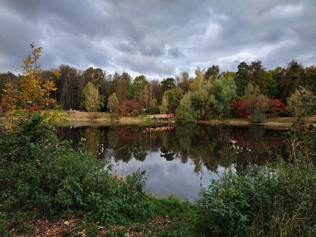 Один день в октябре-2023 в Лосином острове - Андрей Лукьянов Один день в октябре-2023 в Лосином острове - Андрей Лукьянов