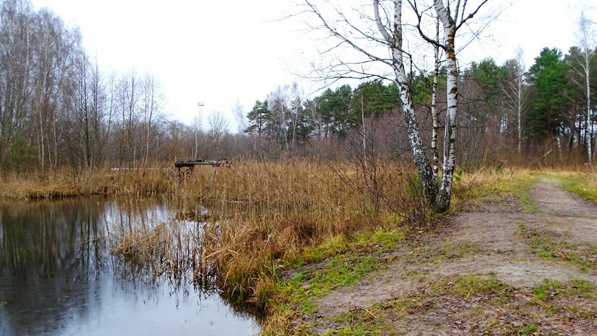 Природа в первой декаде декабря. - Милешкин Владимир Алексеевич Природа в первой декаде декабря. - Милешкин Владимир Алексеевич