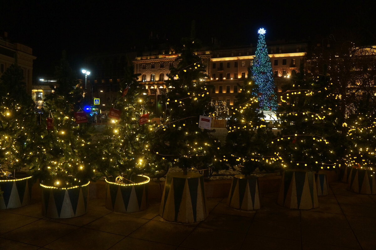 Ново-манежный сквер - zavitok * Ново-манежный сквер - zavitok *