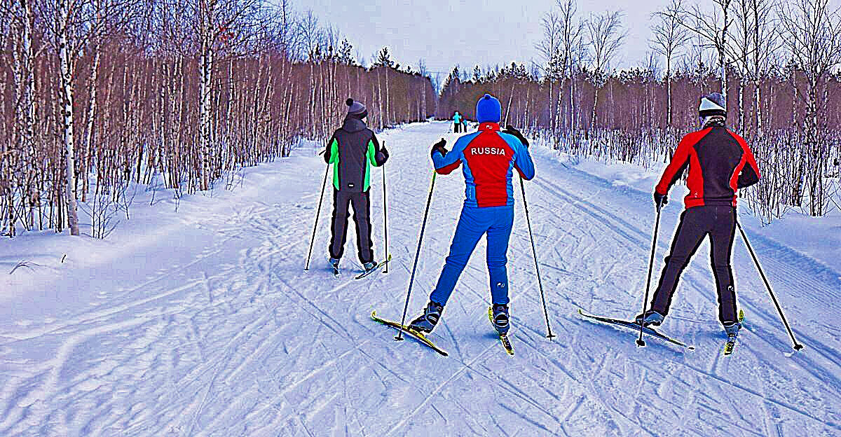 Январь...Спортивная троица на лыжне! - Владимир Январь...Спортивная троица на лыжне! - Владимир