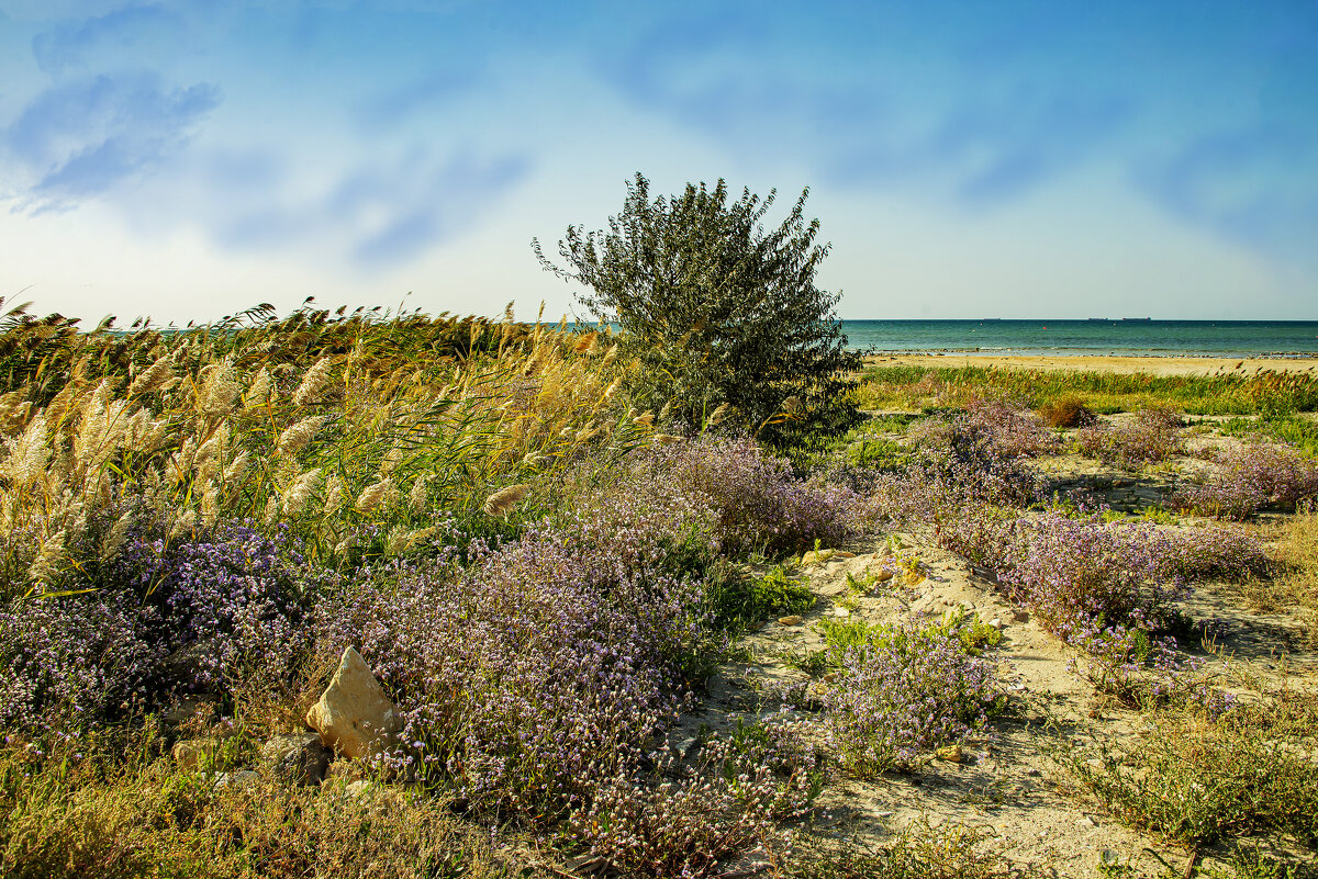 Берег - Анатолий Чикчирный Берег - Анатолий Чикчирный