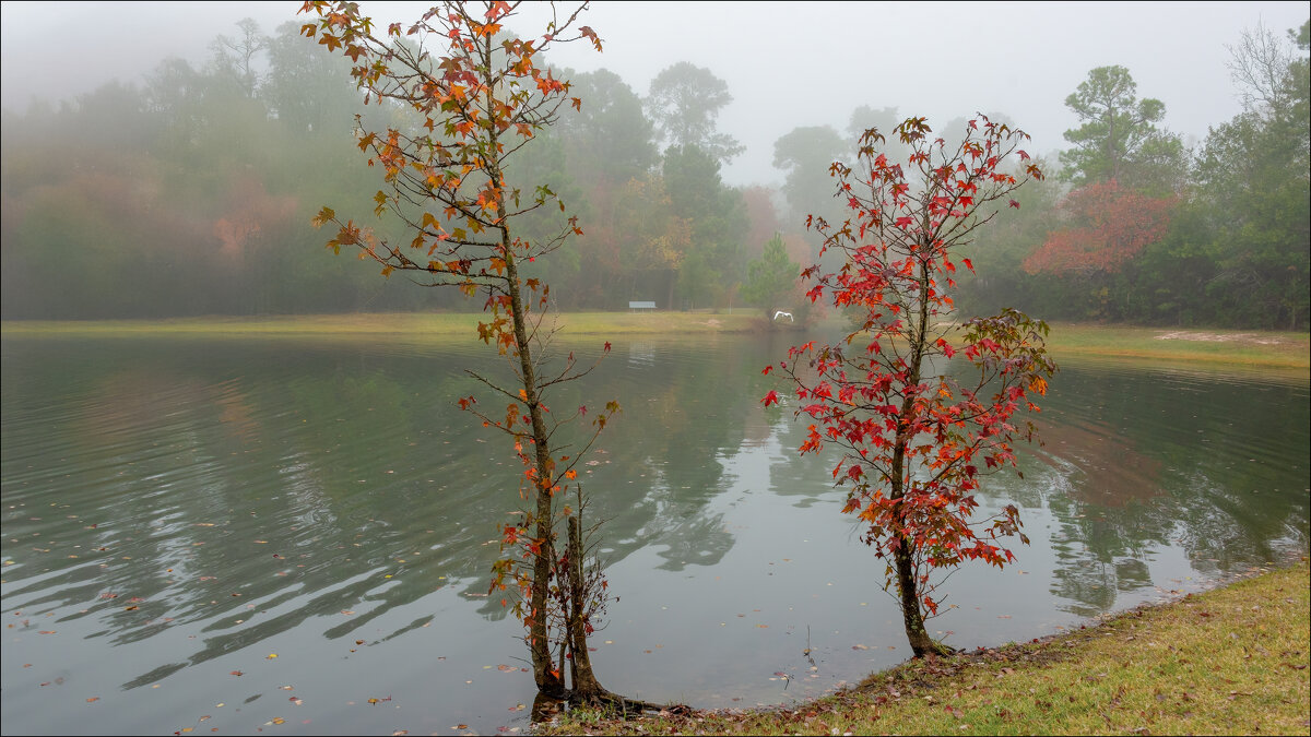 Утро - **** vedin Утро - **** vedin