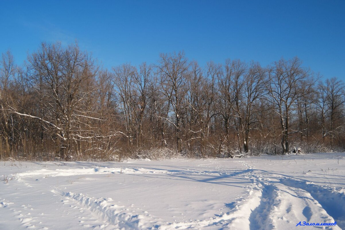 Зима у нас вошла в свои права... - Андрей Заломленков Зима у нас вошла в свои права... - Андрей Заломленков
