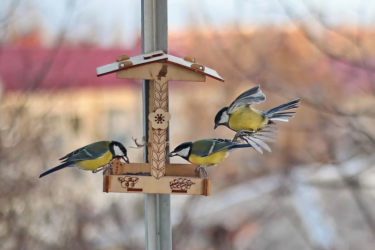 Налетай. - Татьяна Бравая Налетай. - Татьяна Бравая