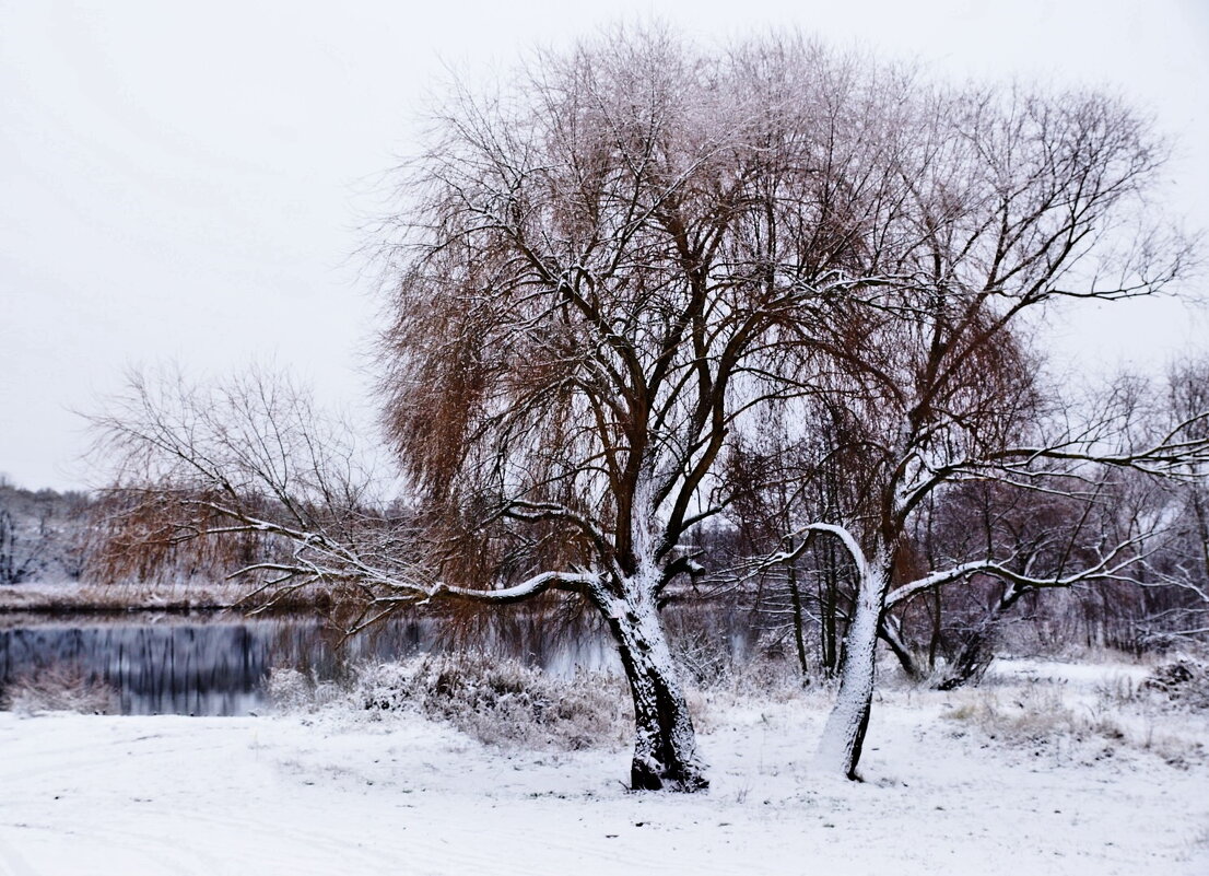...и выпал первый снег... - Александр Герасенков ...и выпал первый снег... - Александр Герасенков