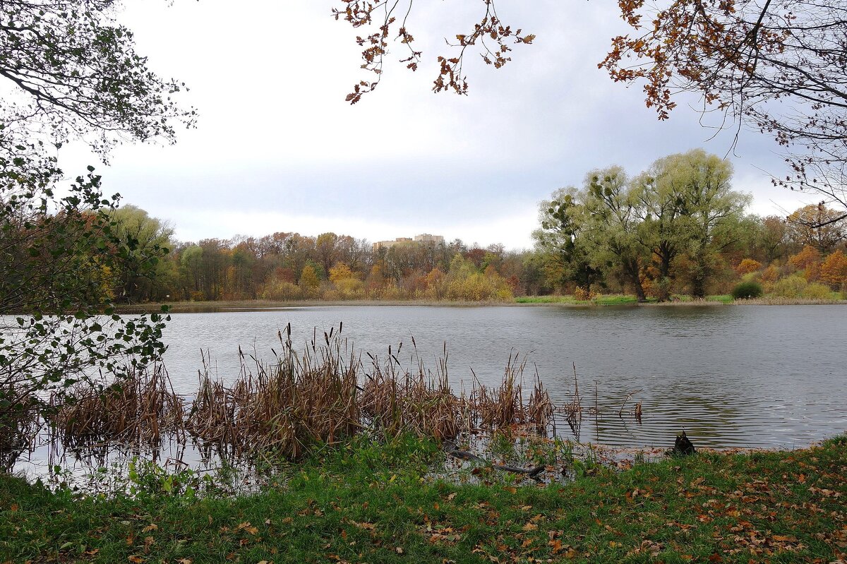 Озеро Лесное, Калининград - Рита Симонова Озеро Лесное, Калининград - Рита Симонова