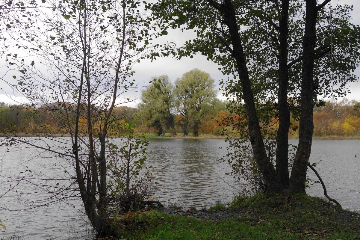 Озеро Лесное, Калининград - Рита Симонова Озеро Лесное, Калининград - Рита Симонова