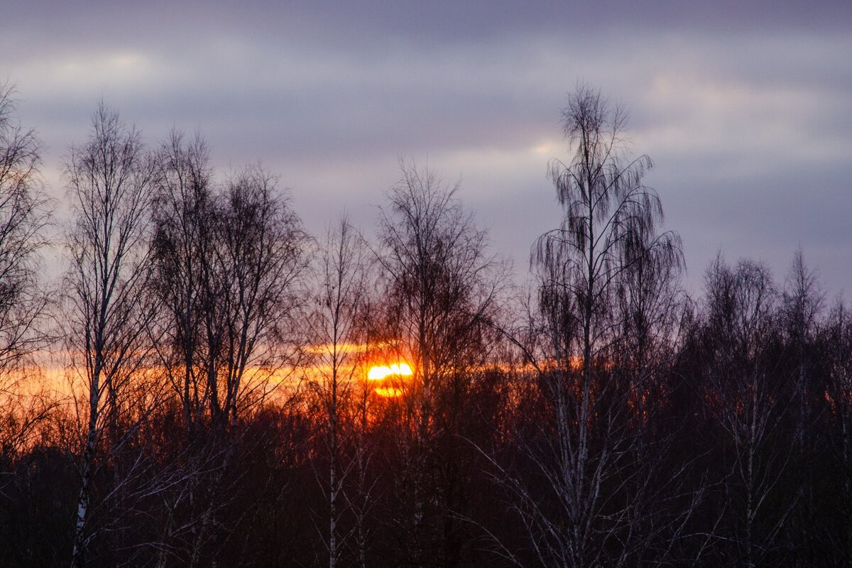___ - Галина Ложечникова