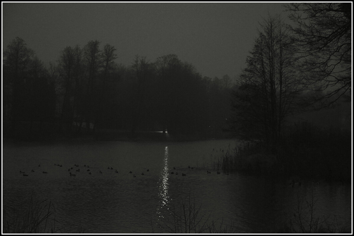 Ночной - Aleksandr Gal Ночной - Aleksandr Gal