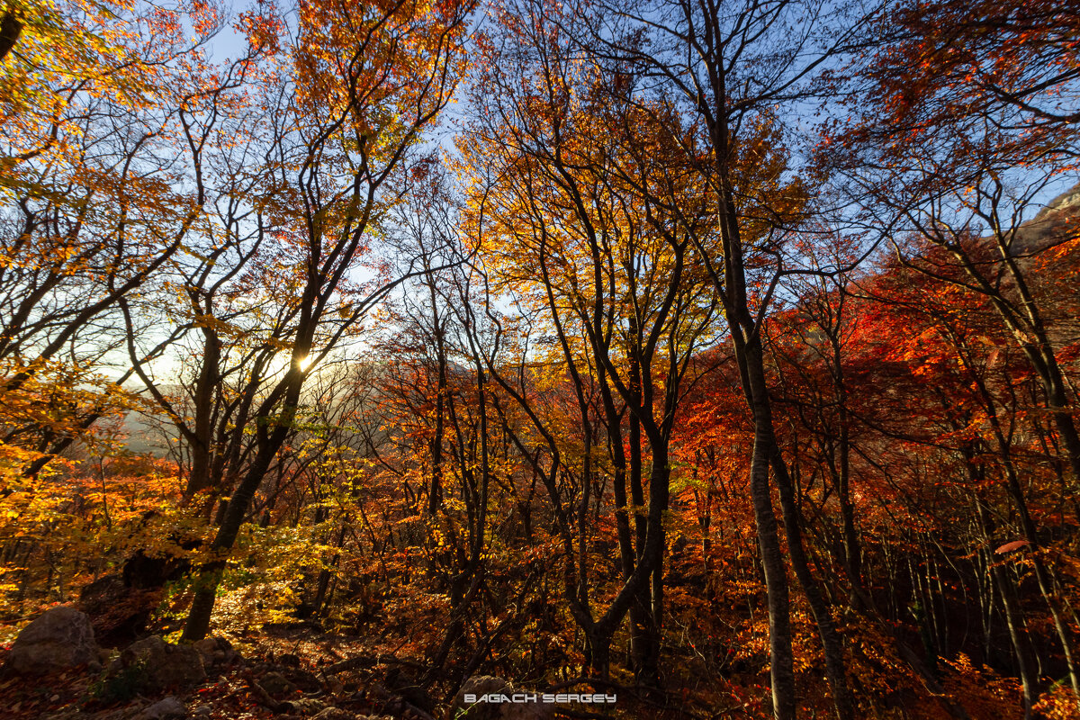 ОСЕНЬ ДЕМЕРДЖИ - Sergey Bagach