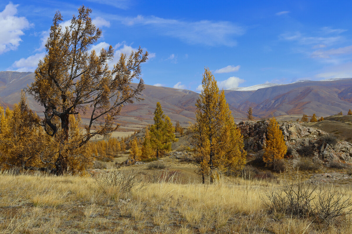 Осенние ландшафты - елена беликова Осенние ландшафты - елена беликова