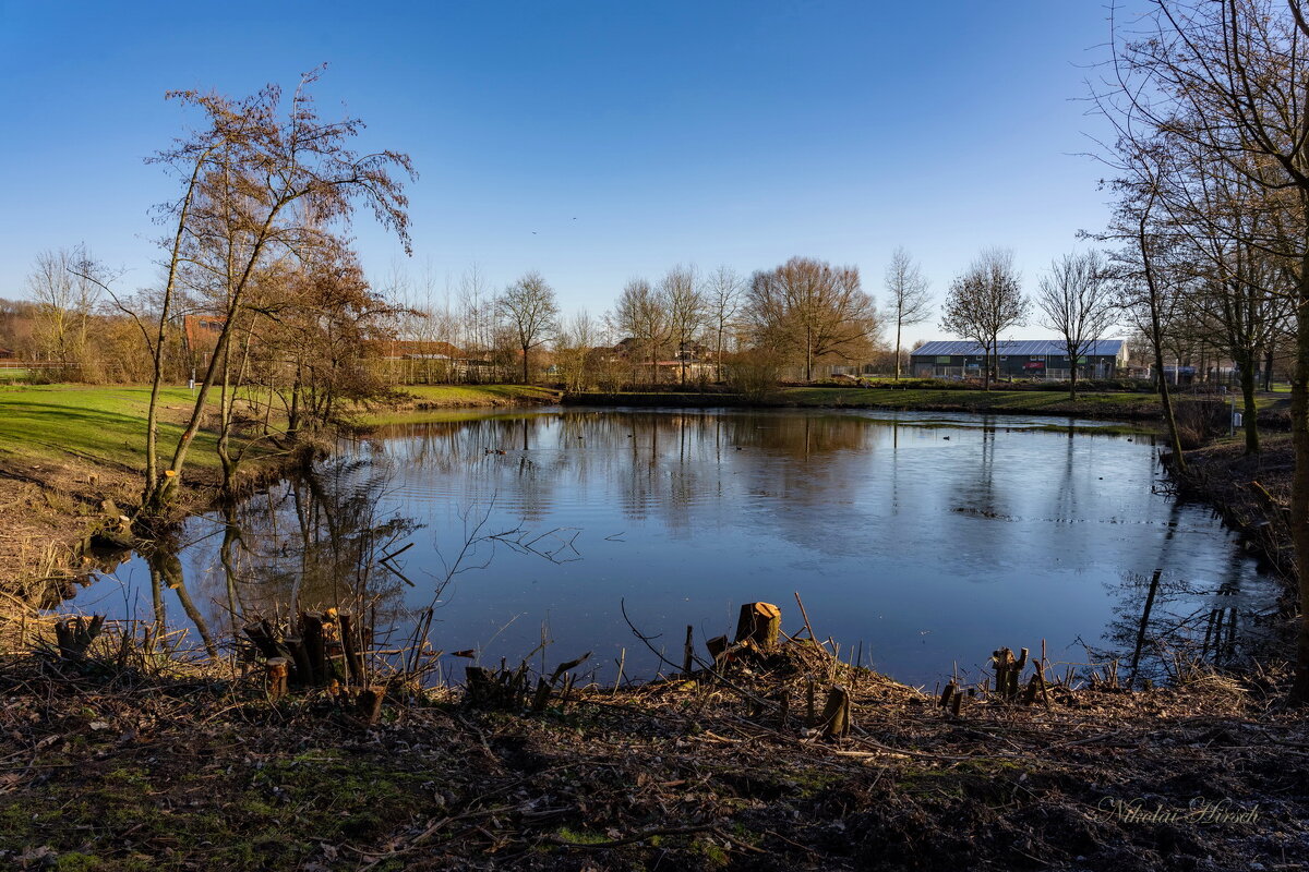 Просто пруд... - Николай Гирш Просто пруд... - Николай Гирш