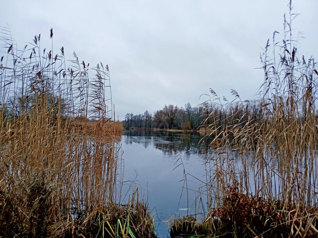 Улова нет, рыбак ушёл. - Лия ☼