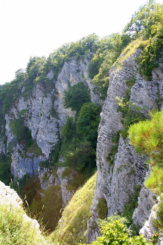 АХШТЫРСКОЕ УЩЕЛЬЕ СОЧИ - Tata Wolf АХШТЫРСКОЕ УЩЕЛЬЕ СОЧИ - Tata Wolf