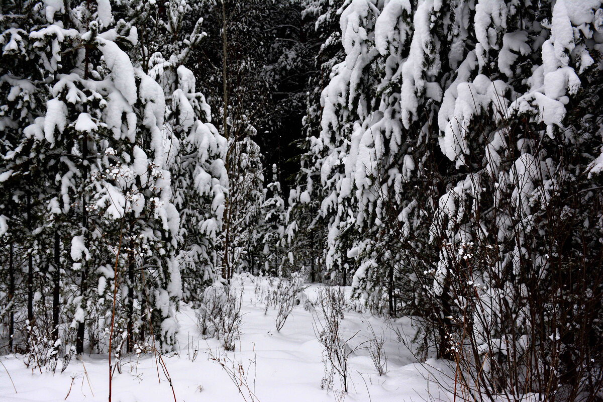 *** - Александр *** - Александр