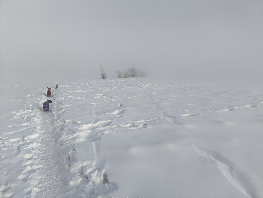 Зимние прогулки - Anna Ivanova Зимние прогулки - Anna Ivanova