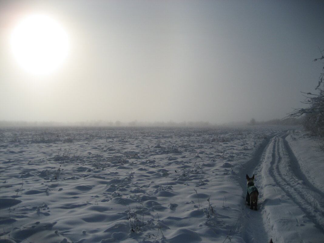 Зима - Anna Ivanova